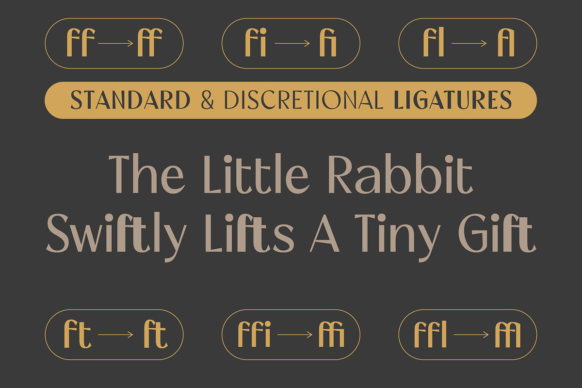 Megiko | High Contrast Classic Font, a Sans Serif Font by Hole Hope Design (Photo 5 of 10)