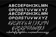 Matrix World Font Duo Sans Script, a Script Font by WhymoreArt (Thumbnail 8 of 9)