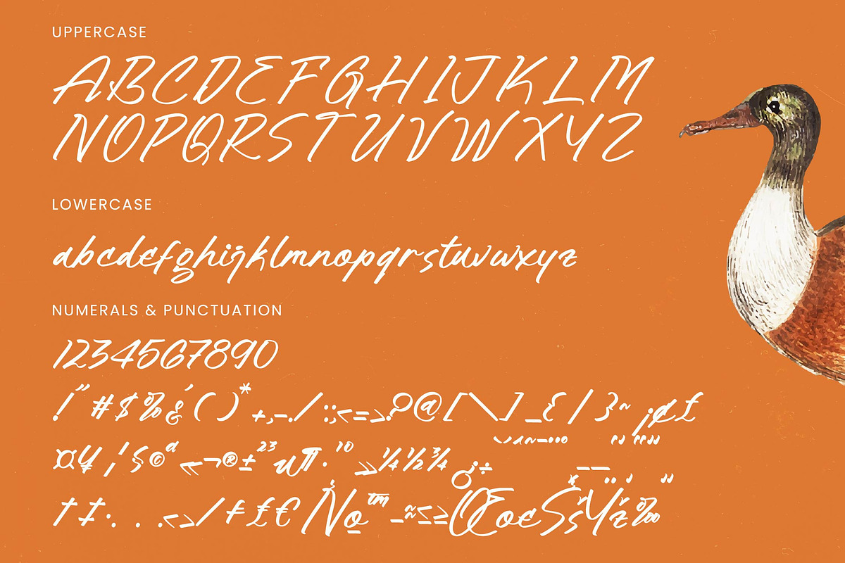Hulatin Modern Brush Script, a Script Font by stylishtype.co (Photo 18 of 20)