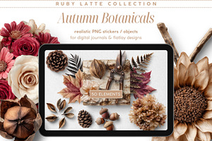 Autumn Botanicals PNG Objects