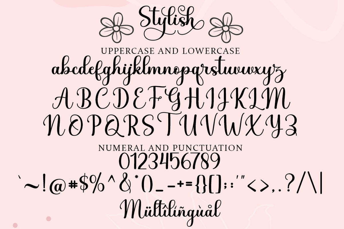 Stylish, a Script Font by Rotterlab Studio (Photo 7 of 8)