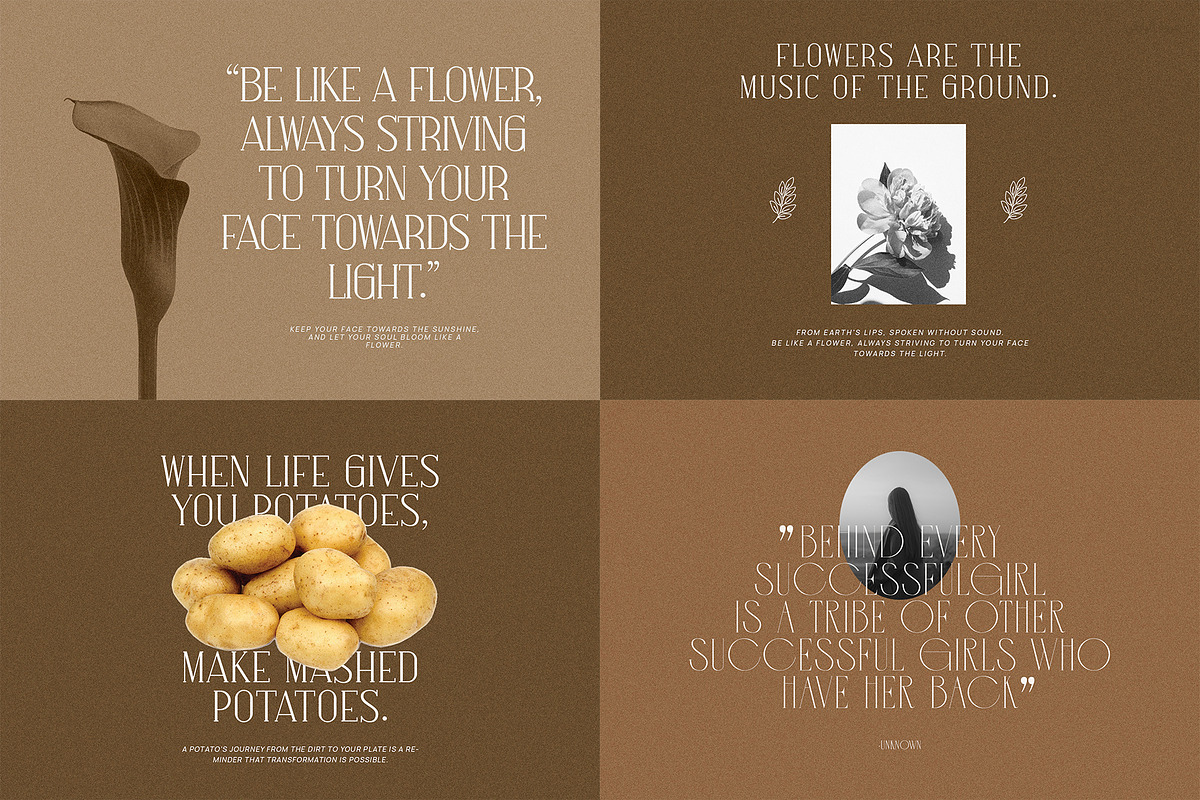 Minimalist Serif Font Bundle, a Serif Font by Perfectype (Photo 3 of 21)