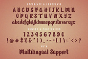 Patric Zihva - Retro Bold Script Fon, a Script Font by StringLabs (Thumbnail 14 of 15)
