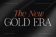 The Pixel Editorial – Modern Serif, a Sans Serif Font by Lettertype Studio (Thumbnail 14 of 15)