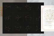 Astrology Zodiac Collection, an Animal Illustration by Vasya Kobelev (Thumbnail 10 of 11)
