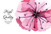 Watercolor Sakura blossom collection, an Object Graphic by Satika (Thumbnail 7 of 9)
