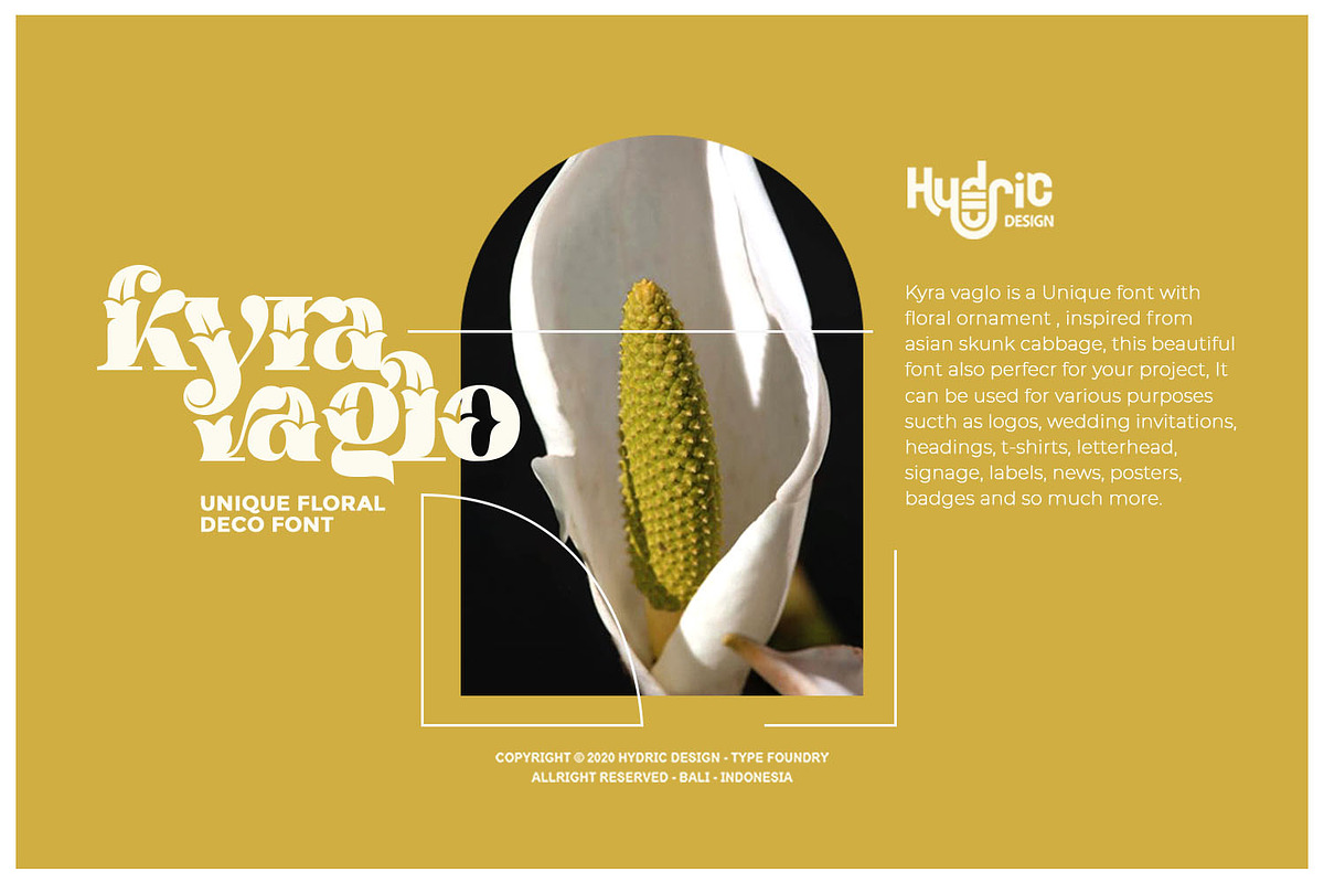 Kyra Vaglo | Floral Display Font, a Sans Serif Font by Hydric Design (Photo 2 of 12)