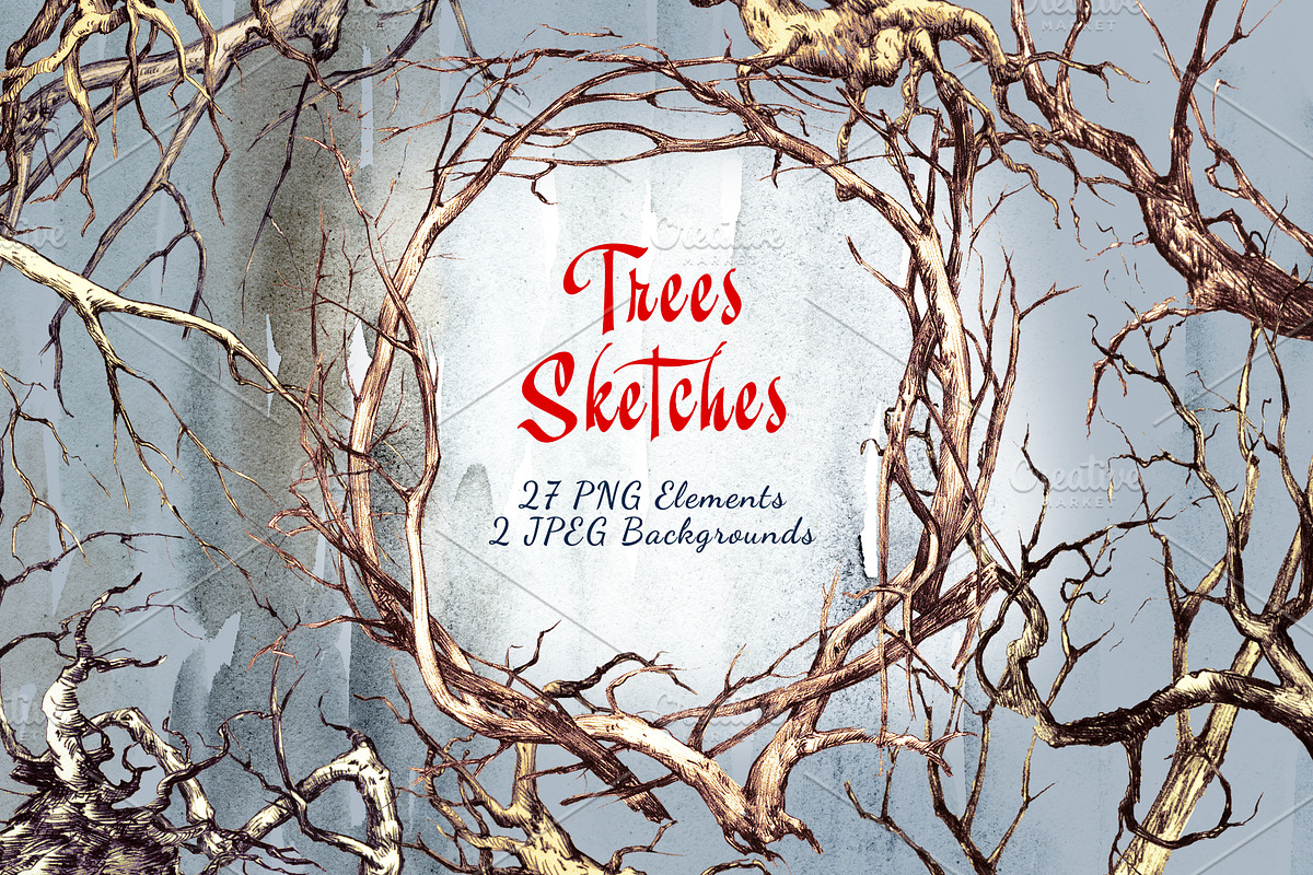 Trees Sketches, an Illustration by Nadiia Hanina (Photo 1 of 5)