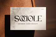 Onnega - Modern Elegant Serif Font, a Serif Font by Flawless And Co (Thumbnail 5 of 10)