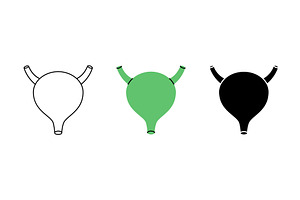 Bladder icon set. Human internal, a Healthcare Illustration by GraphiShop