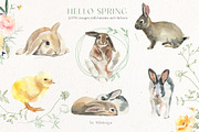 Hello Spring Watercolor ClipArt, an Animal Illustration by whiteheartdesign (Thumbnail 2 of 24)