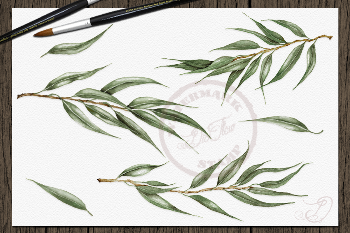 Willow Eucalyptus Illustration, a Decorative Illustration by DioFlow (Photo 2 of 5)