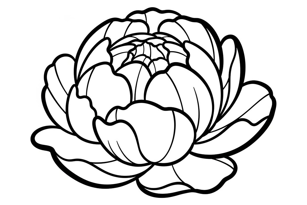 50 Floral Nature Vector Illustration, an Illustration by Gaye Art (Photo 40 of 51)