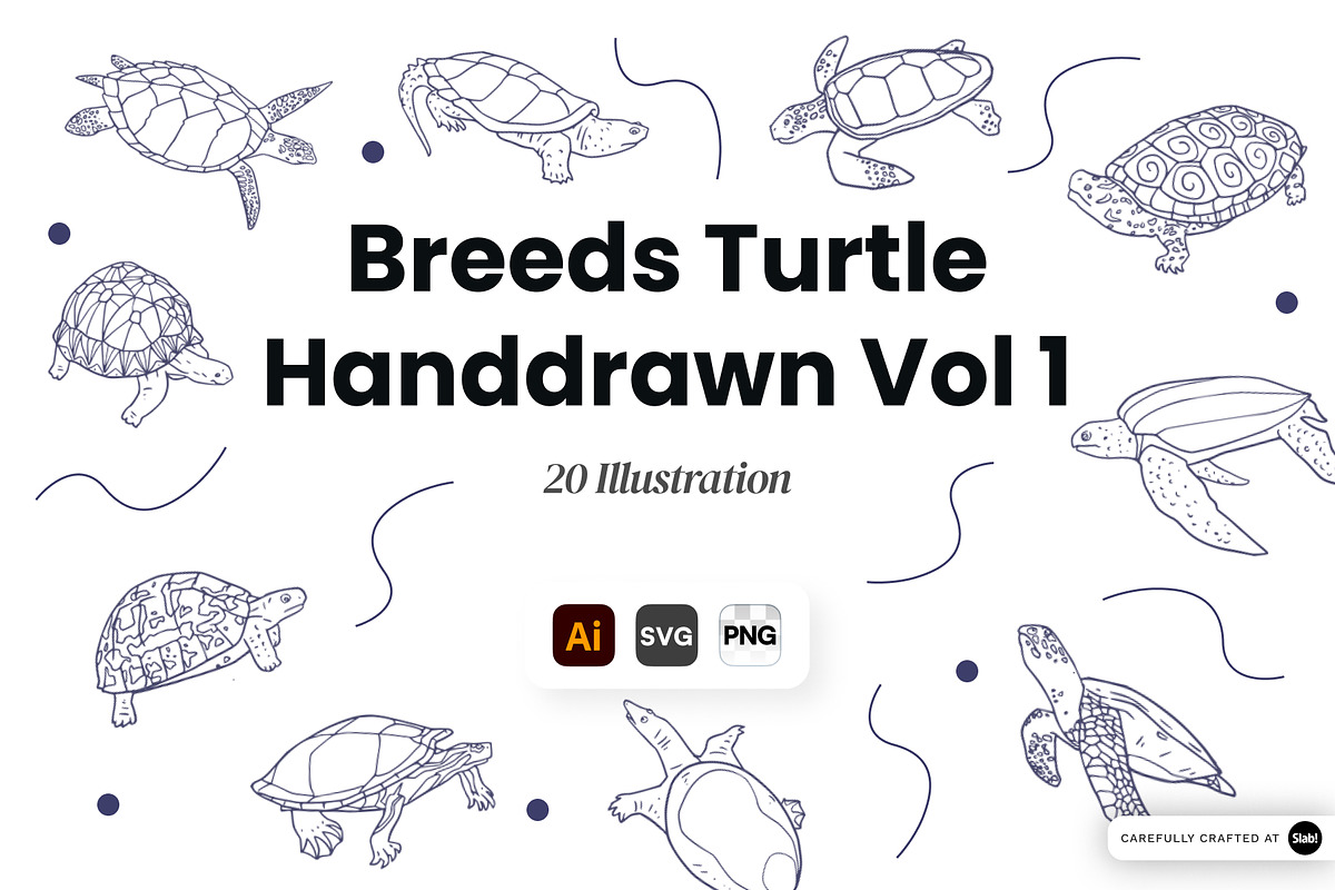 Turtle Breeds Hand Drawn, an Animal Illustration by SLAB! Design (Photo 1 of 3)
