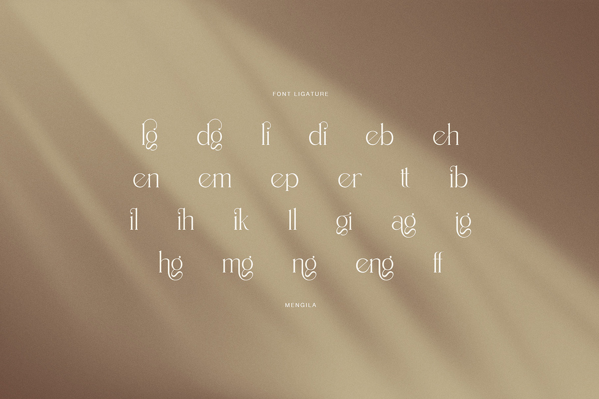 Mengila Elegant Serif, a Serif Font by Perfectype (Photo 8 of 8)