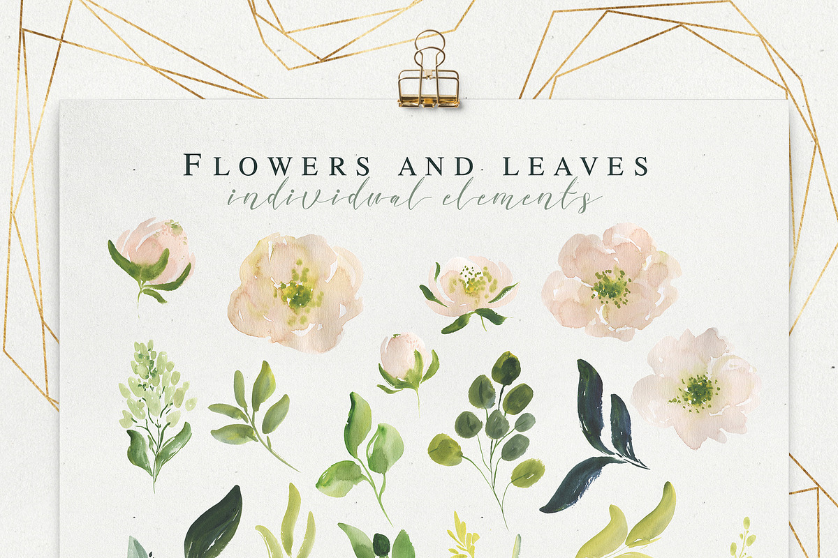 Magdalena watercolor floral set, a Texture Illustration by Charushella (Photo 3 of 8)