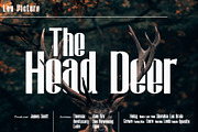 Floe, a Sans Serif Font by Jolicia Type (Thumbnail 7 of 10)