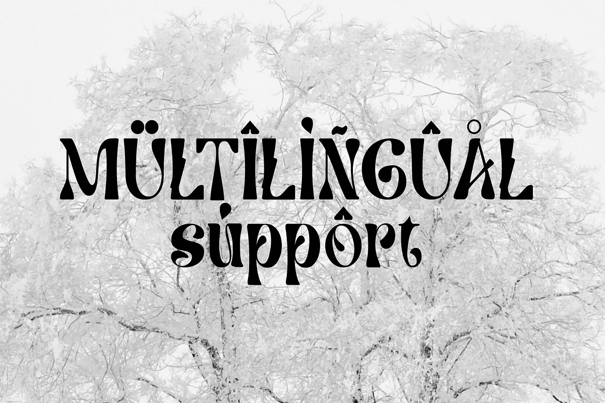 Mangut, a Serif Font by Canden Meutuah (Photo 5 of 6)