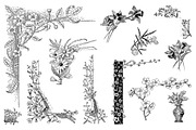 Procreate Botanical Collection, a Brush Add-On by AW Studios (Thumbnail 6 of 6)