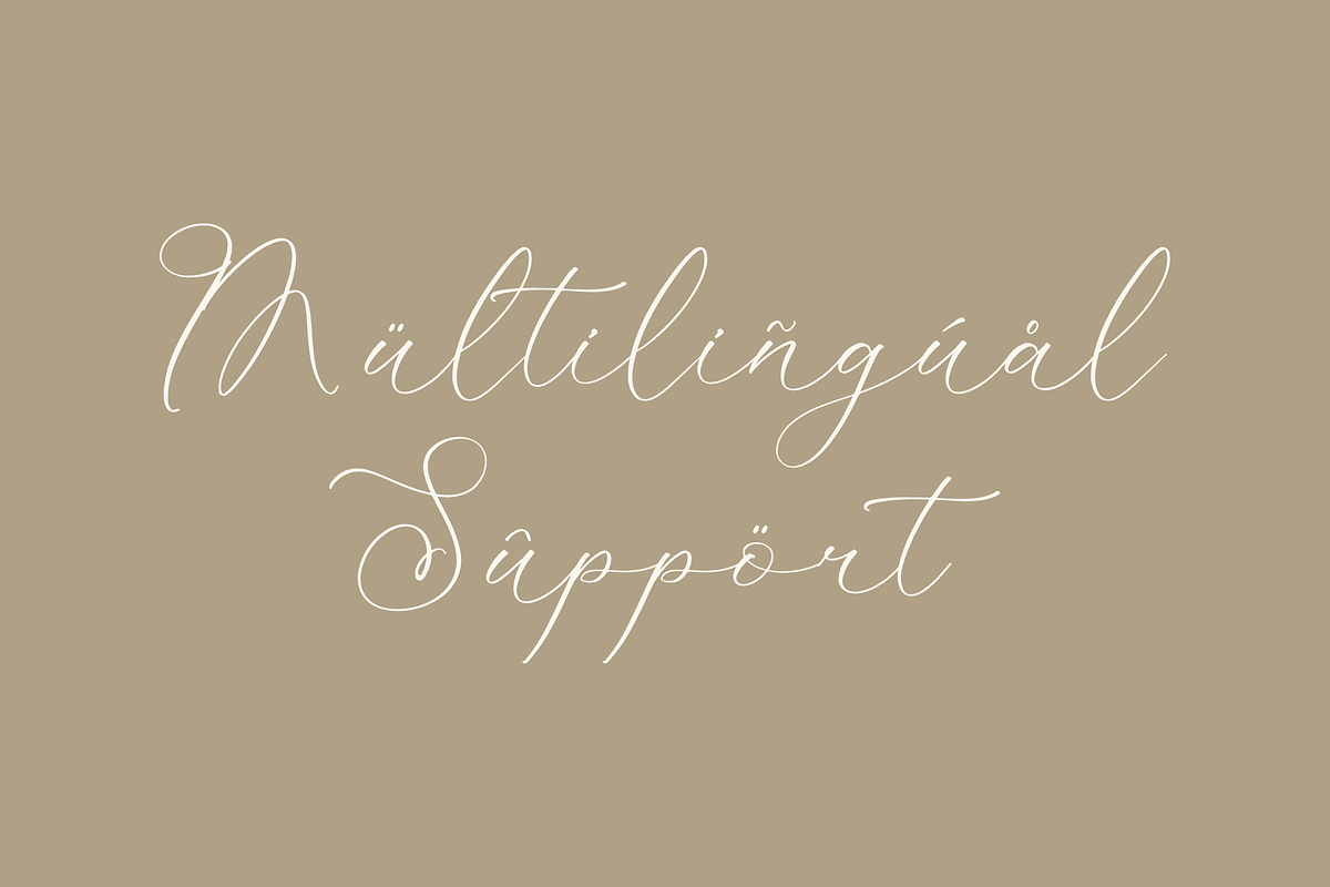 Kelarhisa Sokrate Beauty Script, a Script Font by Storytype Studio (Photo 12 of 15)