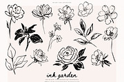 Ink Garden - 50 Brush Line Elements, a Decorative Illustration by PeDe Designs (Thumbnail 7 of 7)