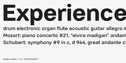 Kana Sans, a Sans Serif Font by GT&CANARY (Thumbnail 6 of 6)