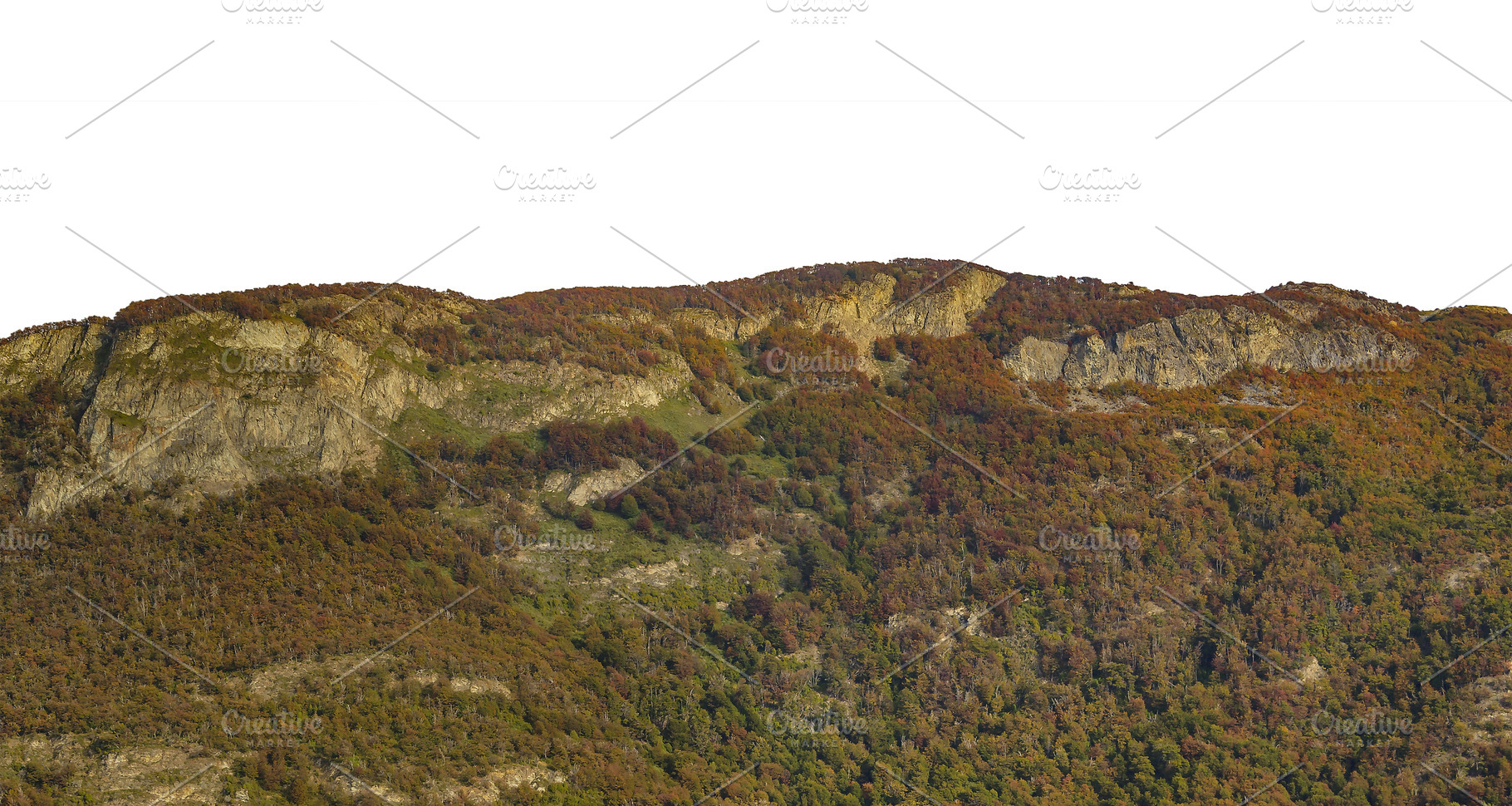 Forest and mountains isolated photo, a Nature Photo by DanFLCreativo