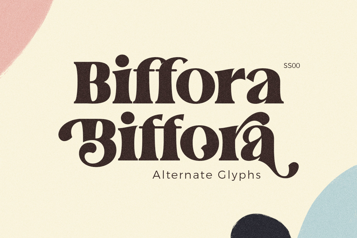 Fieasto, a Serif Font by Dora Typefoundry (Photo 5 of 18)