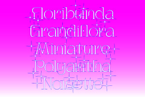 Iconique Serif Regular