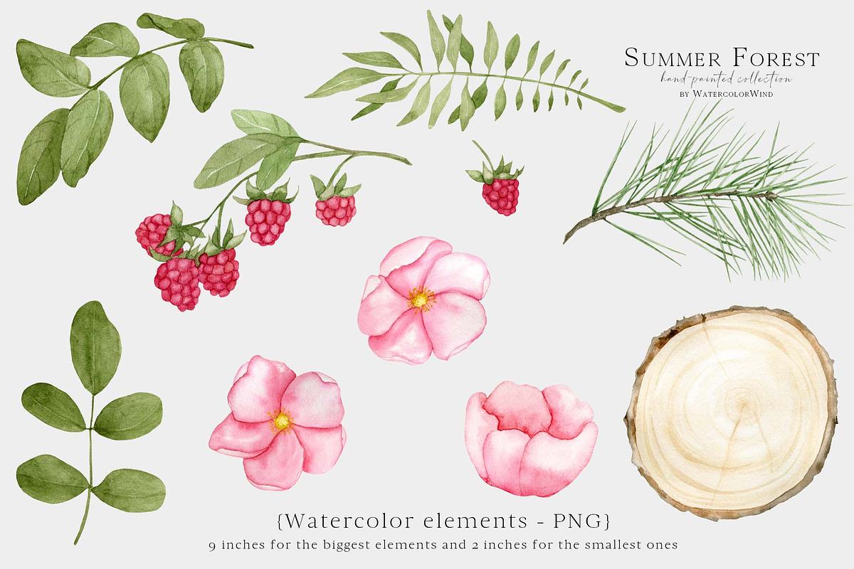 Forest Floral Clipart with Raspberry, an Illustration by WatercolorWind (Photo 13 of 14)