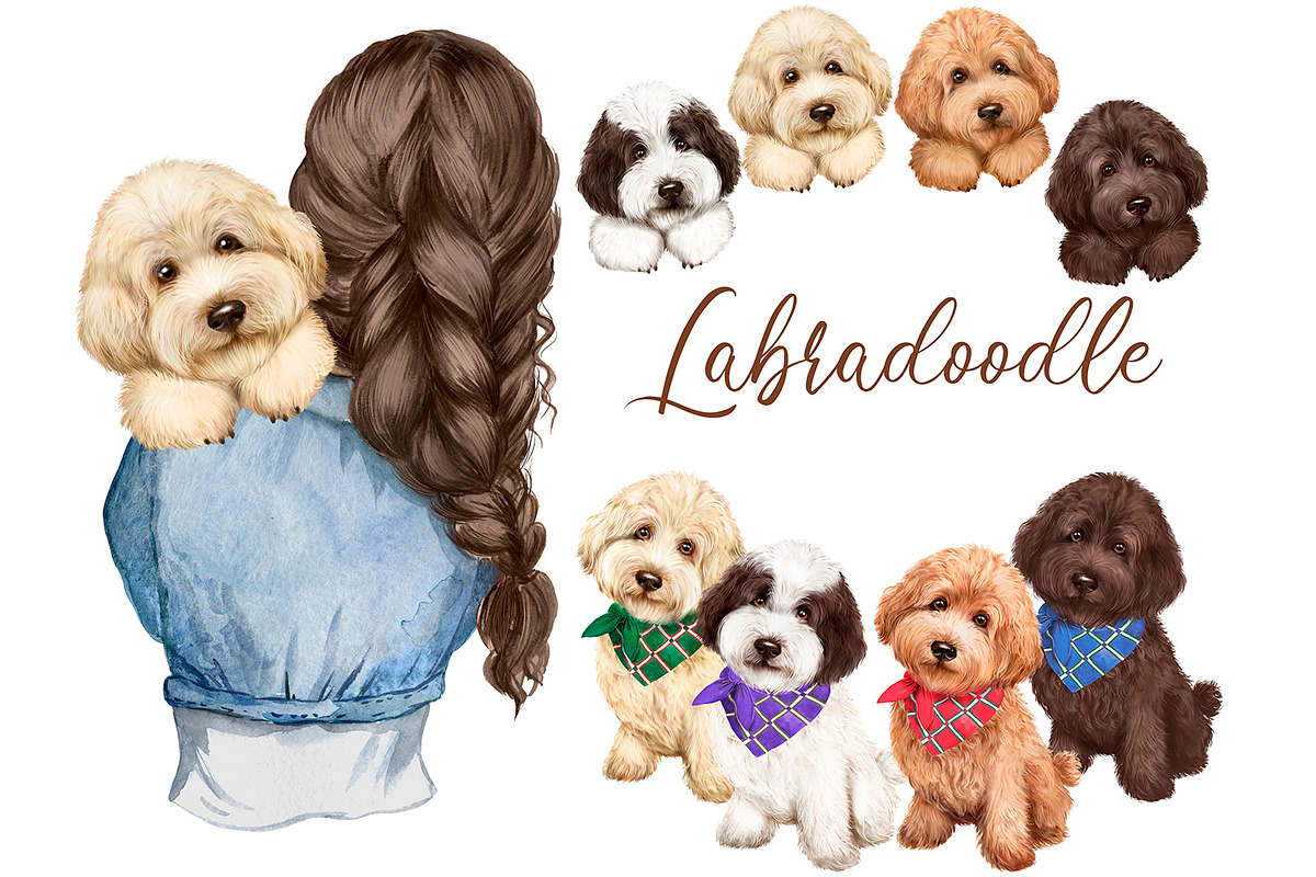Clipart with dogs, labradoodles., an Animal Illustration by SavinV (Photo 1 of 6)
