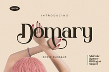 Domary - Modern Elegant Luxury Serif