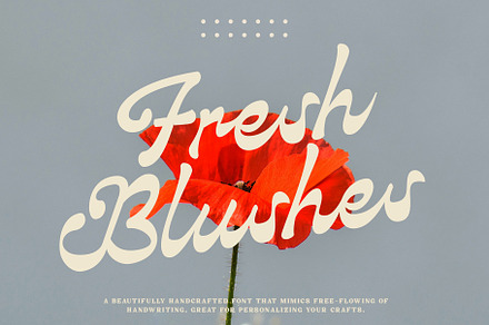 Fresh Blushes | Modern Script Font, a Script Font by roomspace