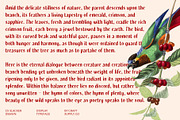 CS Slacker Drawn, a Sans Serif Font by Craft Supply Co. (Thumbnail 5 of 8)