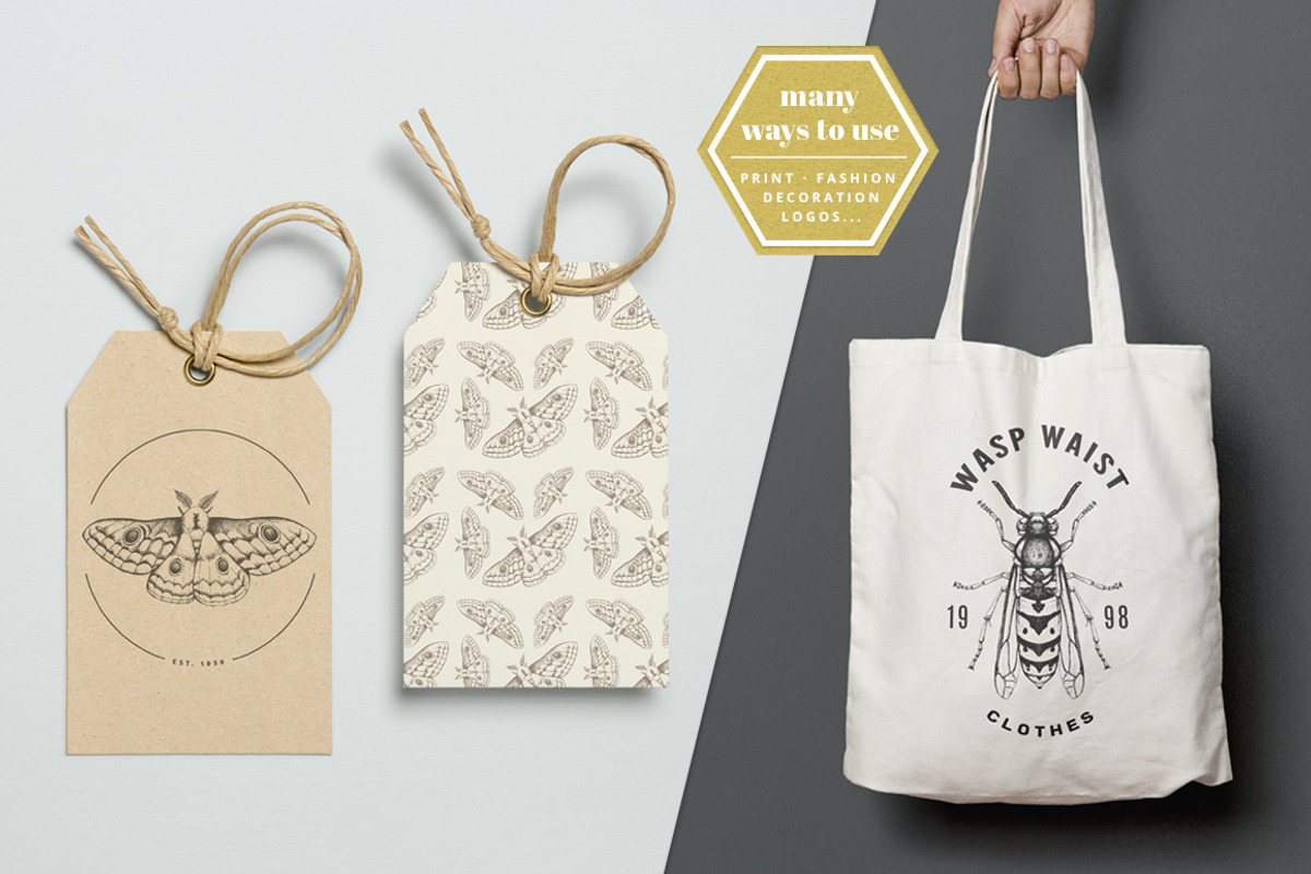 Dotwork Vector Insects, an Animal Illustration by nordicworker (Photo 3 of 5)