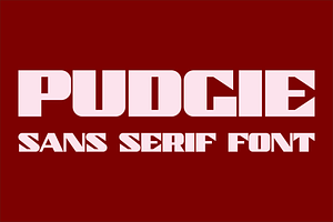 Pudgie - Sans Serif Font