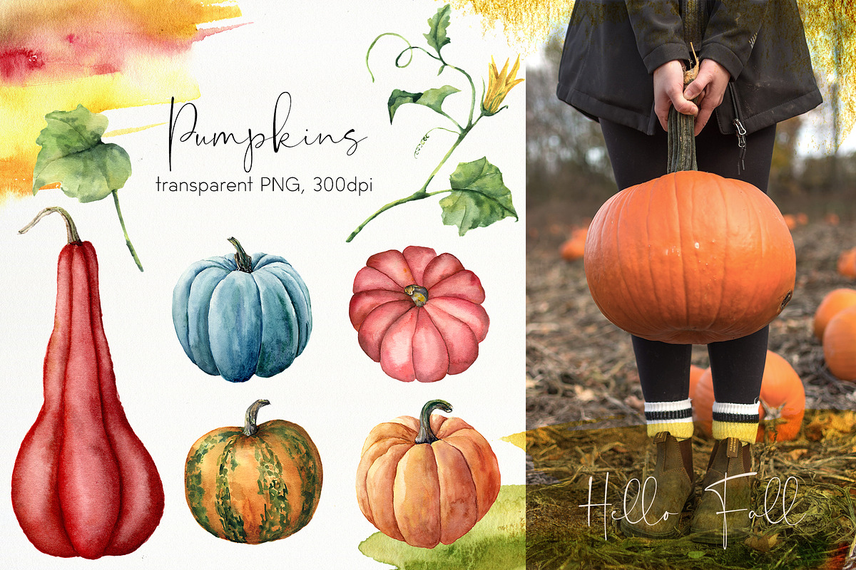 Pumpkins Watercolor pumpkin clipart, a Seasonal Illustration by Yuliya Derbisheva (Photo 3 of 11)