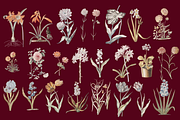 Hortus Vintage Flowers Cliparts, a Decorative Illustration by Lilithcollageart (Thumbnail 5 of 12)