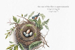 Nests Watercolor Clipart