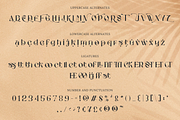 Stockhoolm Medieval Serif, a Serif Font by Creatype Studio (Thumbnail 6 of 10)