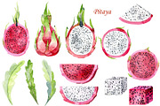 Watercolor tropical fruits., an Illustration by TaPilipa (Thumbnail 2 of 39)