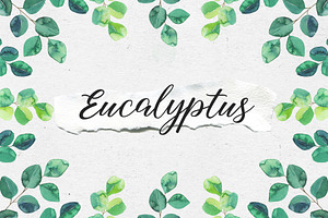 Cute eucalyptus mini set