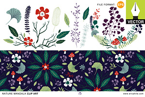 Nature Mandala: Vector Art & Pattern