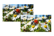 Knitted Texture Photo Effect, a Layer Style Add-On by studiogstock (Thumbnail 2 of 2)