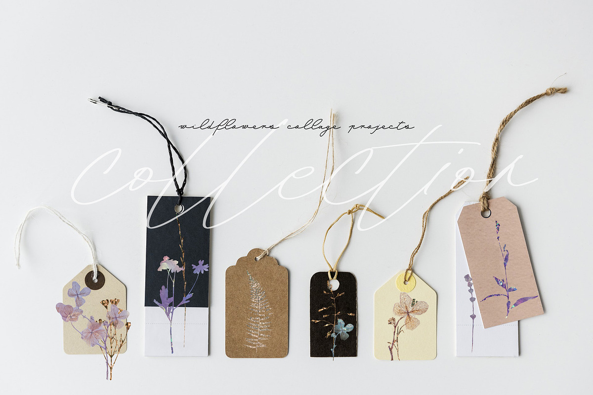 Wildflowers collage collection, a Texture Graphic by Anna Sokol (Photo 19 of 21)