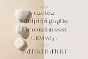 Calliga // Stylish Ligature Serif, a Serif Font by BrandSemut (Thumbnail 9 of 10)