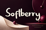 SoftBerry - Handwritten Brush Font, a Handwritten Font by PaperMoon (Thumbnail 6 of 6)