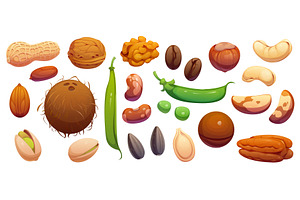 Cartoon raw ripe nuts, legumes, a Food Illustration by Vector Tradition