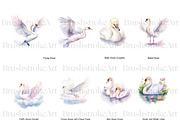 Watercolor Swan Clipart, White Swans, an Animal Illustration by BrushstrokeArtGB (Thumbnail 4 of 9)