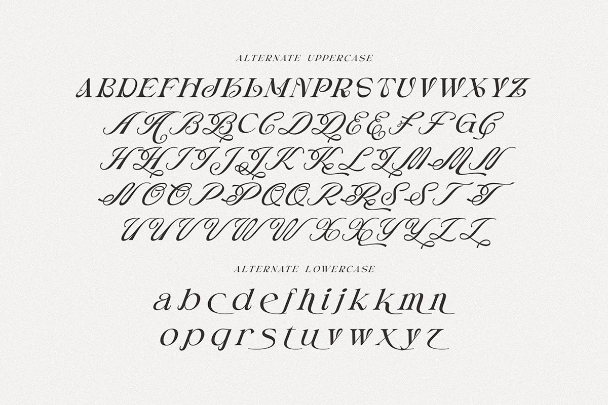 Rischa Unique Luxury Serif, a Serif Font by Cruzine (Photo 8 of 9)